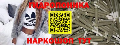 a pvp Гусев
