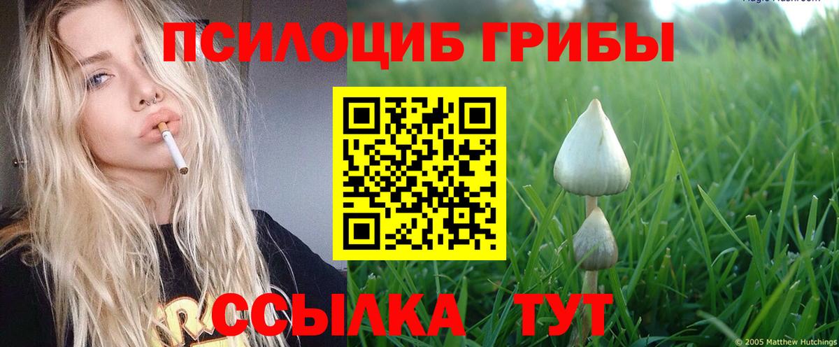 Псилоцибиновые грибы MAGIC MUSHROOMS Назрань