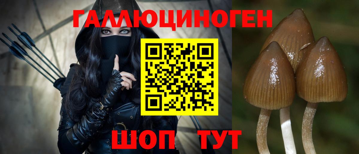 Назрань  Галлюциногенные грибы мухоморы  Галлюциногенные грибы мицелий  Вход с VPN 